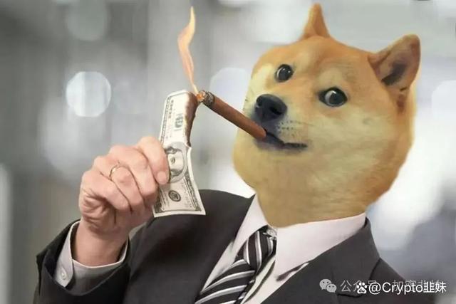 专家称狗狗币将在年底冲破255美元，引发引发关注-爱游戏